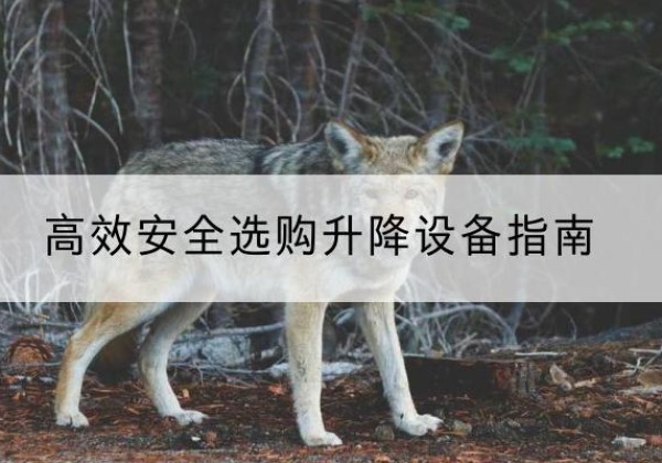 恩平升降货梯厂家推荐-*安全选购升降设备指南