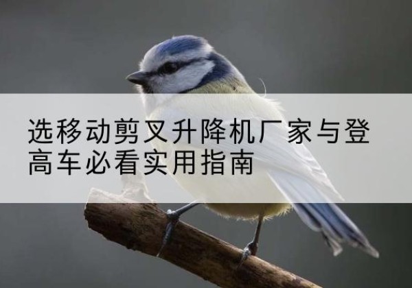 恩平电动升降机厂家-选移动剪叉升降机厂家与登高车必看实用指南