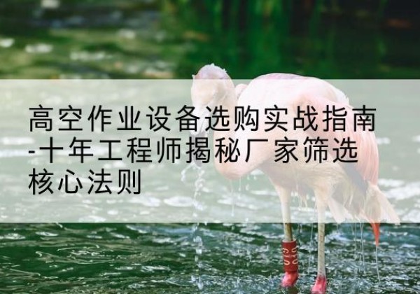 恩平剪叉式升降机厂家-高空作业设备选购实战指南-十年工程师揭秘厂家筛选核心法则